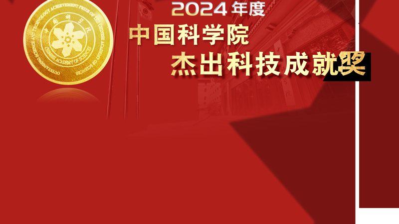 教育SaaS性能优化，如何实现定制化解决方案？**